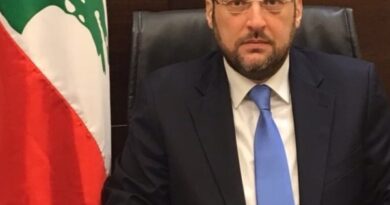 تقي الدين: الحوار الوطني هو الطريق الصحيح للوصول إلى تفاهمات في ما خص السلاح